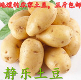 山西特产忻州 山药蛋 土豆 马铃薯 洋芋 普通级农家自种 5斤包邮