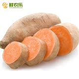 【鲜农乐】现挖红薯3斤/份 生地瓜 番薯黄壤地瓜香署新鲜蔬菜