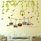 可移除墙贴纸贴画客厅沙发背景墙壁装饰照片贴相片贴花藤树枝鸟笼