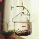 肆月 创意蘑菇房玻璃水培容器小鱼缸可悬挂花瓶 玻璃装饰小挂件