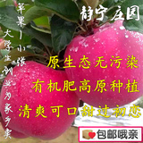 甘肃静宁红富士苹果冰糖心水果苹果特级农家新鲜有机苹果5斤包邮