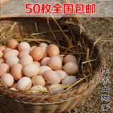苏北农家散养草鸡蛋柴鸡蛋鲜鸡蛋正宗月子蛋   散养土鸡蛋