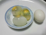 动物人参 鸽子蛋 鸽蛋 儿童补品 孕妇补品 美容 广东省内包邮