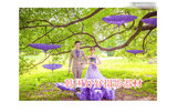 2015婚纱摄影道具批发韩式影楼外景拍照伞写真道具伞紫色塔形伞