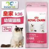 皇家猫粮K36猫粮2kg怀孕哺乳期母猫幼猫猫粮室内猫咪英短宠物食品