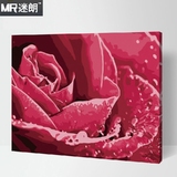 迷朗DIY数字油画 风景花卉植物客厅大幅数码手绘装饰画 滴水玫瑰