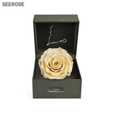 SEEROSE双鱼座星座永生花进口保鲜玫瑰花礼盒520创意表白生日礼物