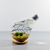 【千花伴】幸福海藻球创意灯泡生态瓶marimo日本绿球藻水草生植物