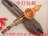 云南葫芦丝乐器学习型紫竹双音精雕刻龙双音降B/C调葫芦丝特价