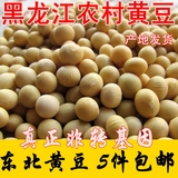 非转基因黄豆 大豆 喝豆浆生豆芽 东北黑龙江特产 15年小粒笨黄豆
