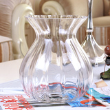 采薇百搭透明玻璃花瓶花器圆形简约桌摆插花水器皿大肚瓶
