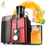 绿航 榨汁机破壁料理机多功能电动纳豆机家用全自动果汁机榨汁水