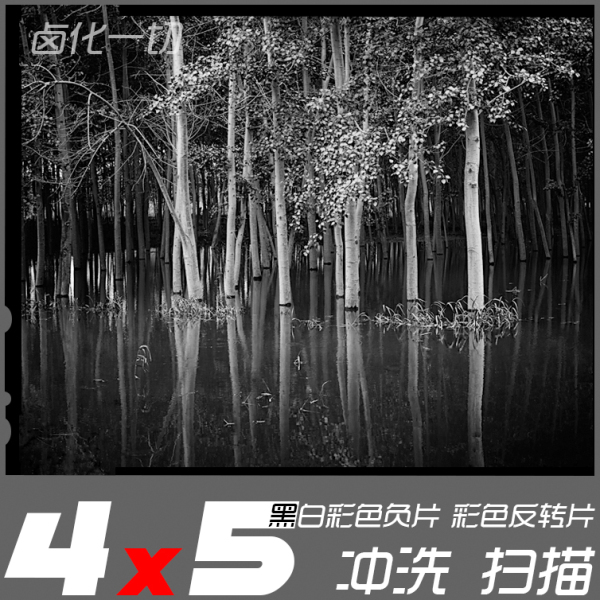 4x5 大画幅 彩色 负片 反转 黑白 胶卷 胶片 底片 冲洗扫描