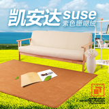 家用卧室纯色珊瑚绒地毯家特价客厅满铺茶几沙发地毯飘窗门垫定制