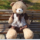 毛绒玩具抱抱熊毛绒泰迪熊 穿裙子熊穿衣布娃娃女孩生日礼物包邮
