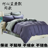 【天天特价】韩式纯色床上用品磨毛加厚四件套秋冬被单三4件套特