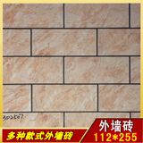 佛山原产优质 耐用外墙砖 瓷砖 通体砖哑光岩石砖112*255