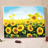 正品自油自画diy数字油画客厅卧室风景花卉向日葵手绘壁画 向阳花