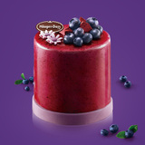 哈根达斯 纯味系列 蛋糕冰淇淋 蓝莓诱惑470克 二维码专拍