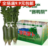 9.9元包邮天津特产沙窝萝卜种子20g小沙沃水果青萝卜菜籽蔬菜种子
