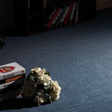 加厚加密办公地毯 满铺地毯酒店家用卧室客厅台球地毯TQ