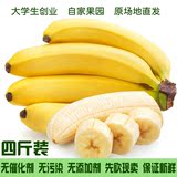 当季福建农家天宝特产banana新鲜青香蕉水果批发包邮4斤无催熟剂