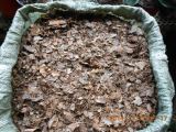 君子兰专用营养土松针像树叶已配好可直接用PH值6、6至6、8酸碱度