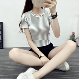 2016夏季弹力条纹t恤圆领针织短袖女 套头修身短款紧身上衣韩版