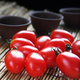 香甜水果番茄种子 阳台四季播种 秋冬季蔬菜种子