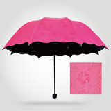 遇水开花晴雨伞防晒折叠太阳伞防紫外线黑胶遮阳伞见水就会出现