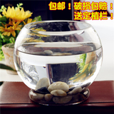 趣植园艺  圆形透明玻璃花盆 水培绿萝花盆 圆形金鱼缸 p401