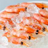 【天猫超市】加拿大北极甜虾熟冻500g  （120+/kg）进口海鲜