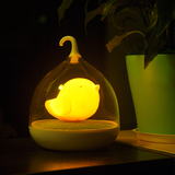 创意充电鸟笼小夜灯 卧室LED触摸调光床头灯氛围小夜灯 圣诞礼品