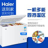 Haier/海尔 BC/BD-318HD 318升 冷藏冷冻单温变温柜商用家用 冰柜