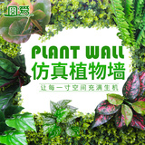 仿真植物墙绿化墙体仿真草坪地毯草皮阳台绿植装饰绿色植物背景墙