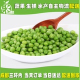 豌豆250g装 成都同城蔬菜配送 新鲜豌豆 豌豆米 生豌豆净菜满包邮