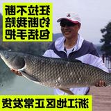 本汀钓鱼竿 日本进口碳素超轻超硬手竿5.7米鲤鱼竿28调台钓竿渔具
