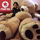 超级美国大熊毛绒玩具熊巨型泰迪熊布娃娃公仔抱抱熊生日礼物女