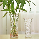水培玻璃花瓶花盆 简约时尚透明玻璃花瓶 客厅插花瓶花绿植瓶包邮