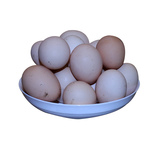 贵州特产 农家佬 原生态新鲜散养土鸡蛋30个起售包邮