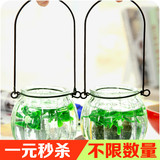 透明南瓜玻璃花瓶吊兰绿萝植物悬挂式花盆水培容器小吊瓶送铁环