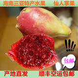 【顺丰包邮】海南三亚新鲜水果野生仙人掌果 仙人果精选好果5斤