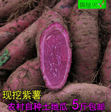 新鲜紫薯生紫心薯番薯山芋红薯地瓜农家有机费种植小紫薯当天现挖