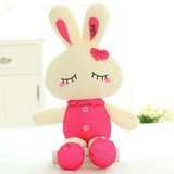 可爱小兔子毛绒玩具1-3-5-7岁小女孩子女童玩偶公仔生日礼物娃娃