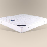 弹簧床垫1.8 1.5米席梦思床垫 弹簧加棕席梦思 两用型 可定制