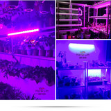 昊林led植物生长灯农场大棚室内红蓝光光合育苗蔬菜防水补光灯管