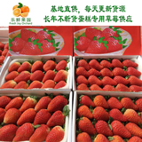 新鲜草莓1盒鲜果奶油烘培蛋糕草梅新鲜水果批发满4盒广东顺丰包邮