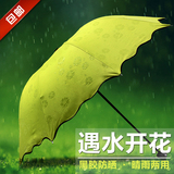 遇水见花韩国创意晴雨伞折叠式女用太阳伞黑胶防紫外线遮阳伞防晒