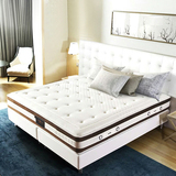 慕斯正品酒店宾馆床垫软硬两用2米2.2米棕簧两用乳胶床垫1.8m2米