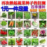 四季蔬菜种子小白菜香菜萝卜辣椒黄秋葵草莓茄子香葱韭菜苦瓜包邮